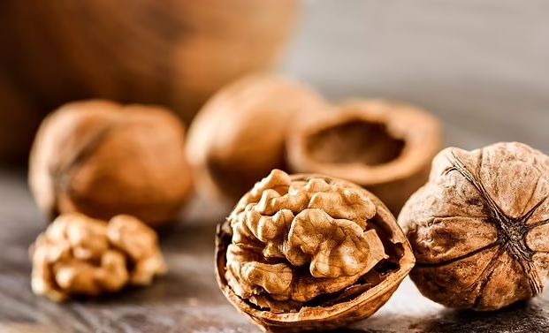 دراسة: تناول عين الجمل يوميا يساعد بإنقاص الوزن