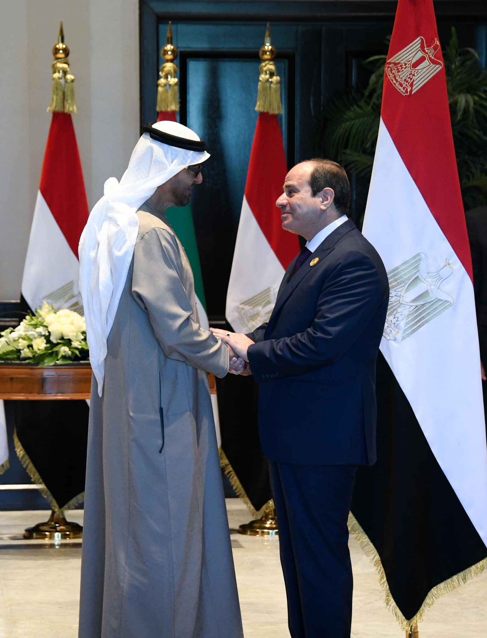 السيسي مع رئيس الامارات