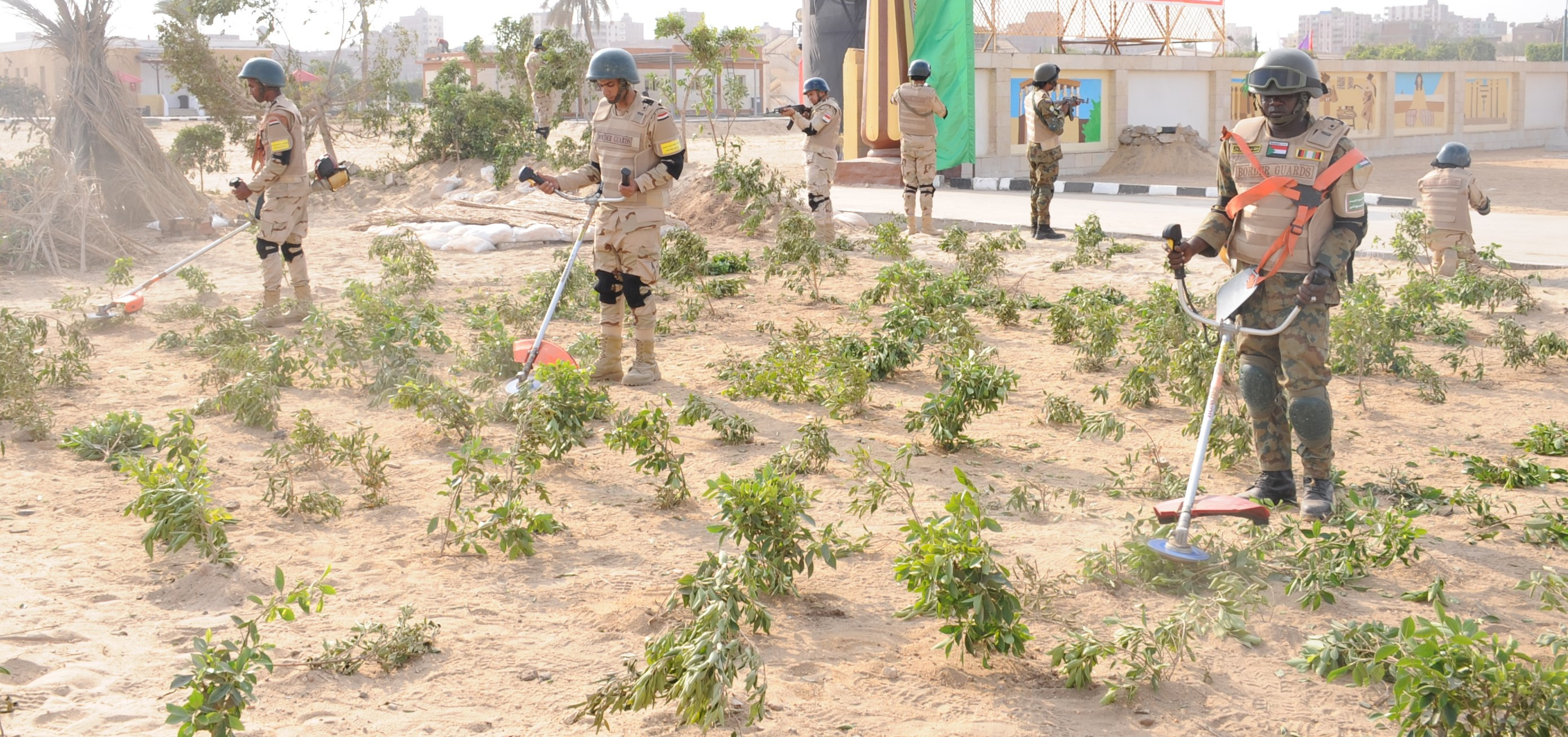 القوات المسلحة