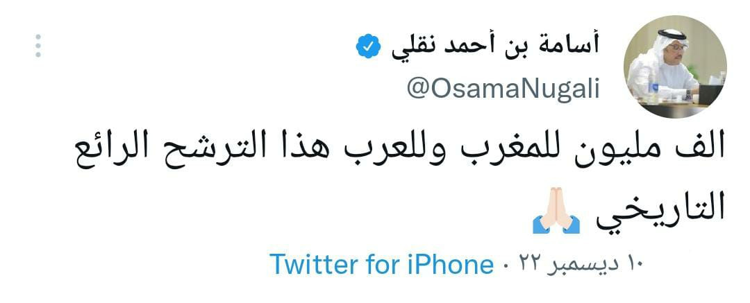 السفير أسامة نقلي