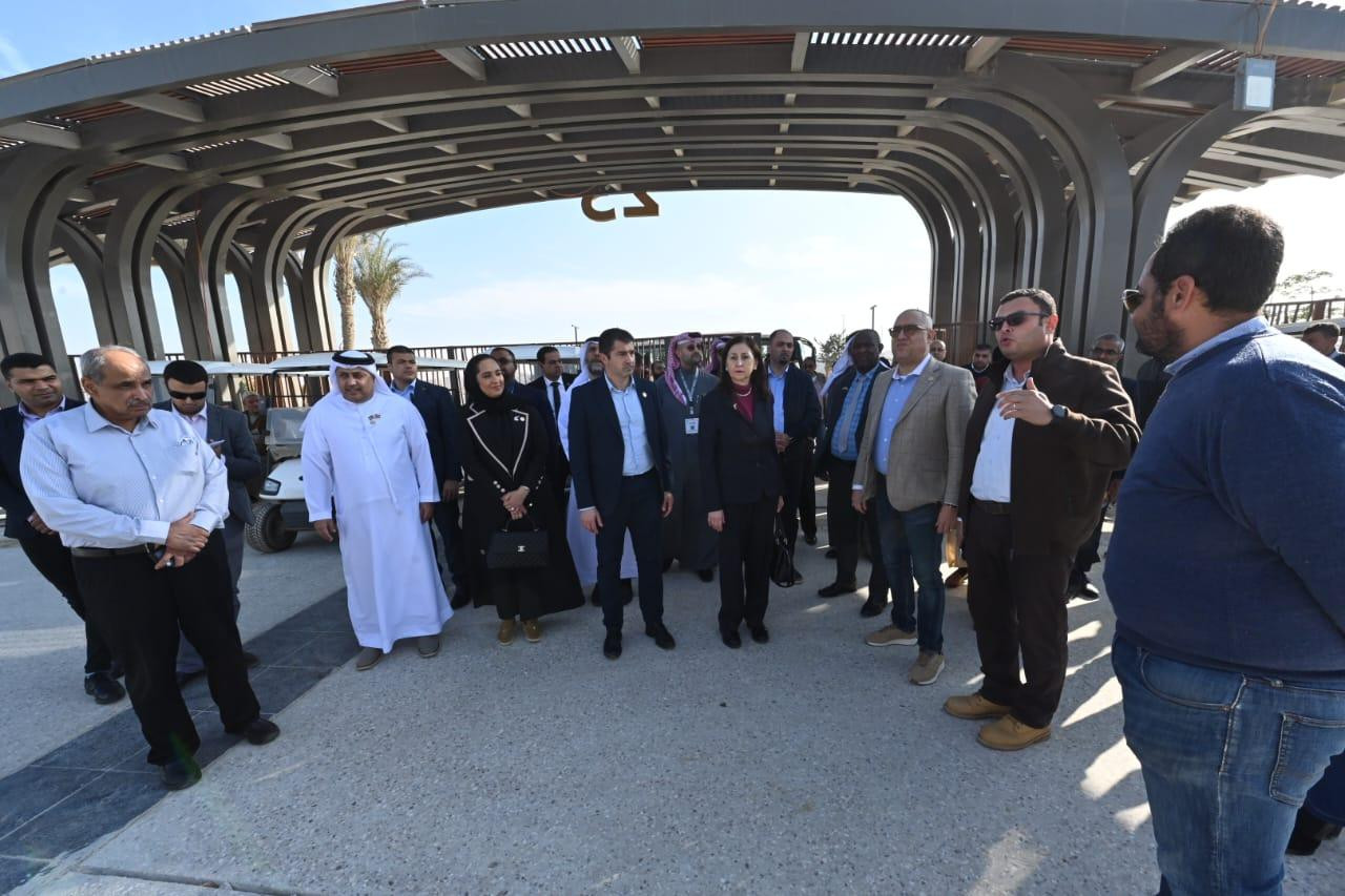 عاصم الجزار