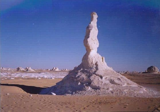 وزيرة البيئة