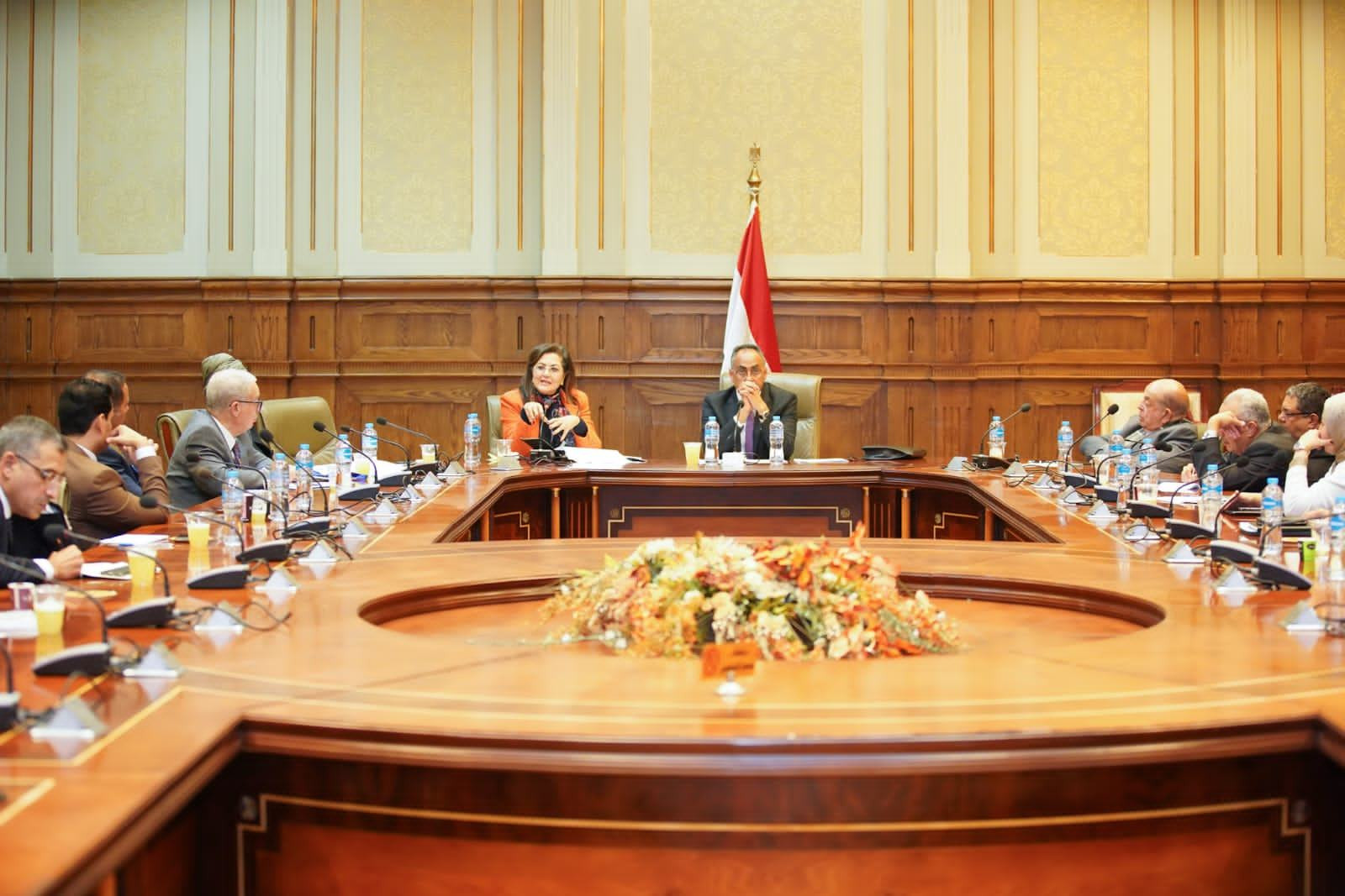 وزيرة التخطيط