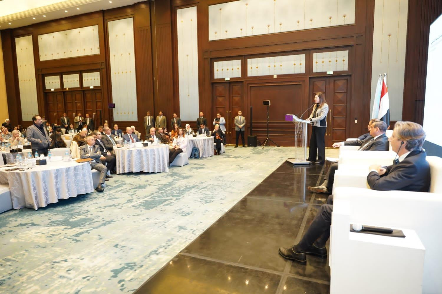 وزيرة التخطيط