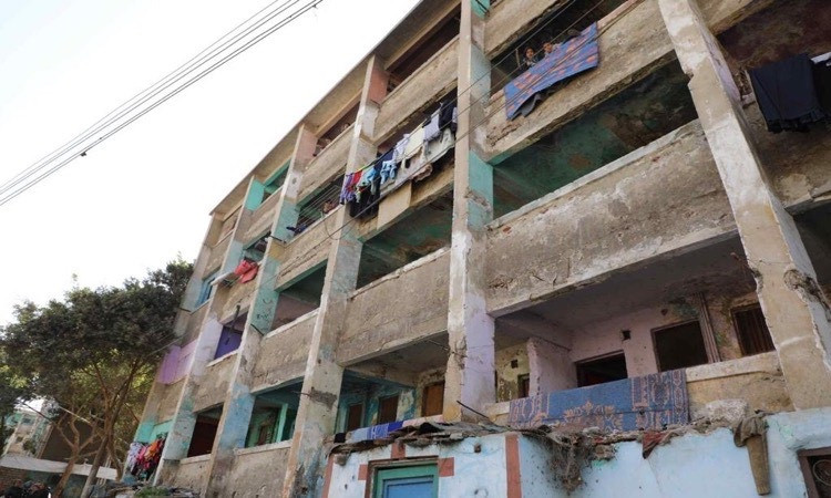 تنمية