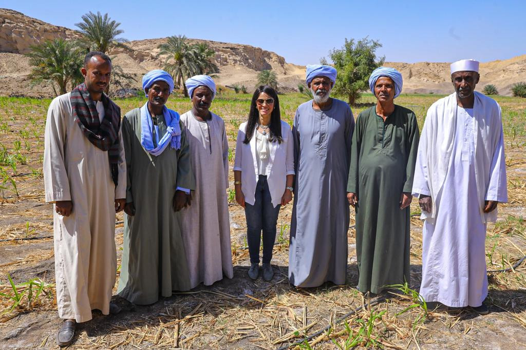 المشاط