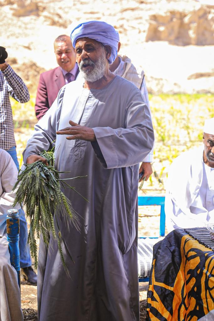 المشاط