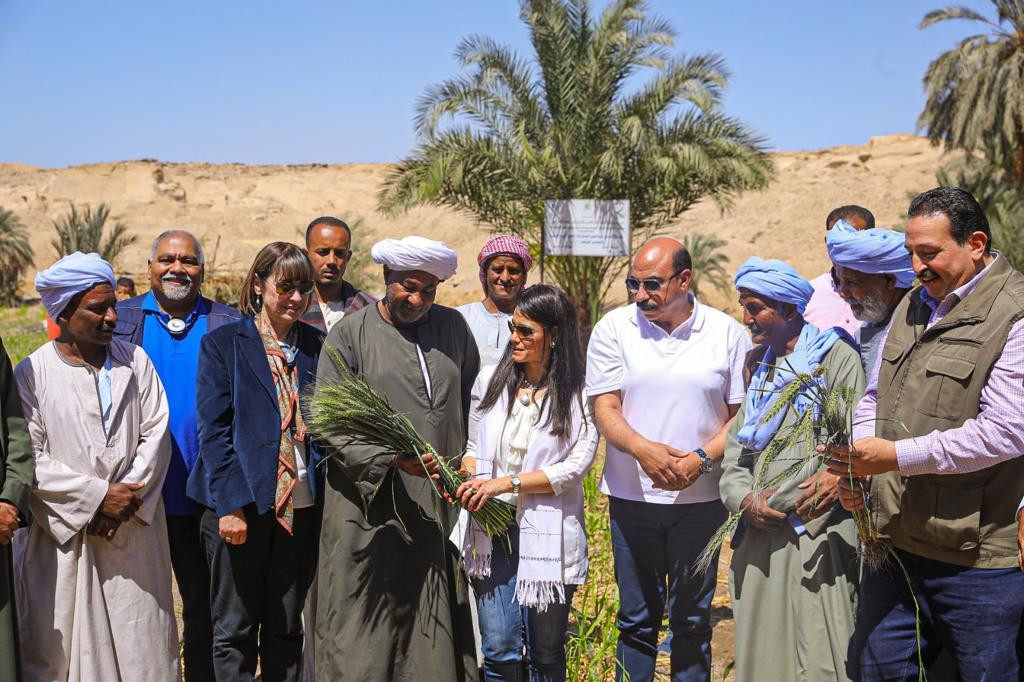 المشاط