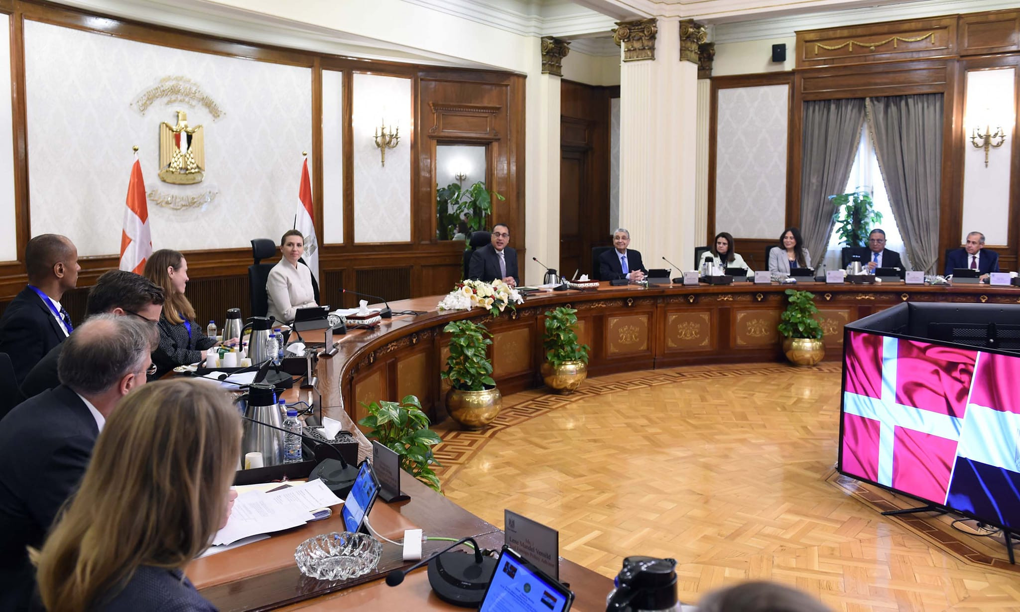 رئيسا وزراء مصر والدنمارك