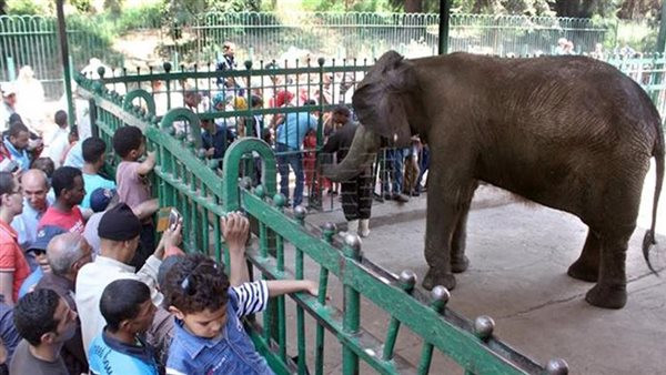 حديقة الحيوان
