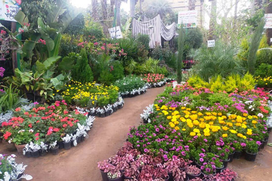 حديقة الاورمان