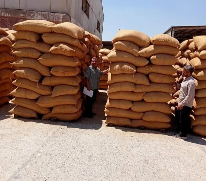 إزالة التعديات على الأراضي الزراعية