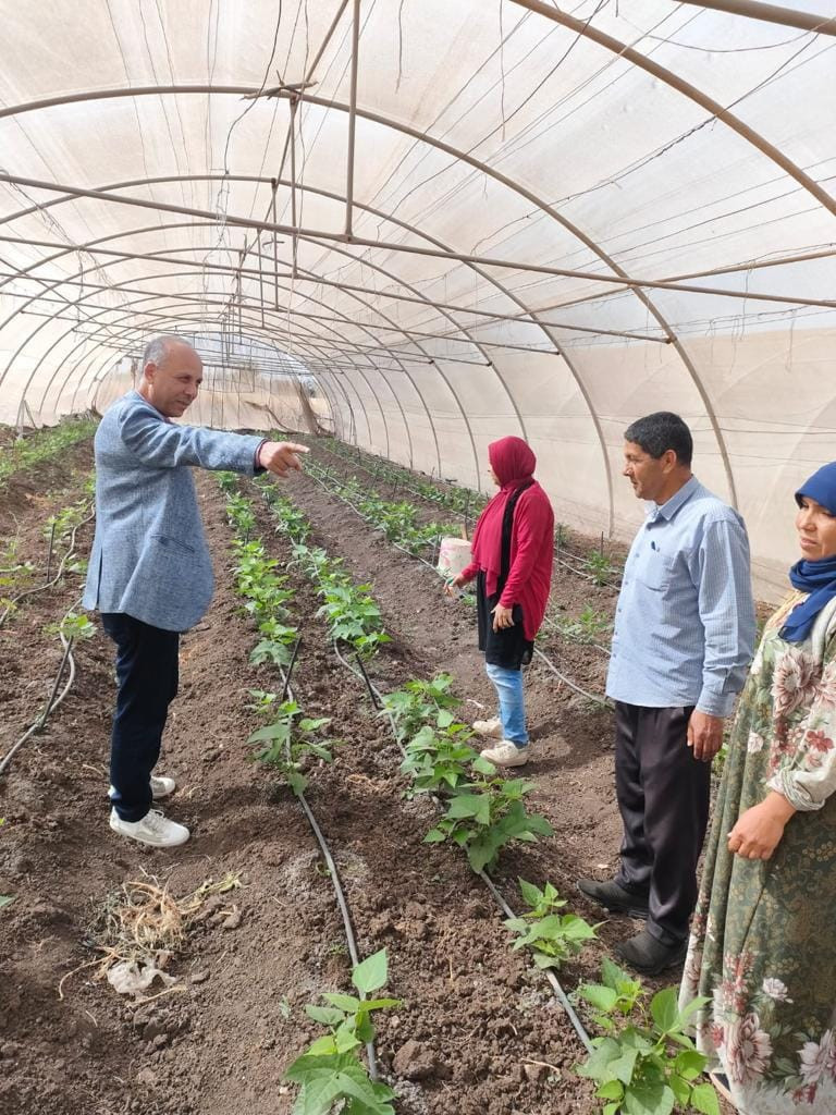 إزالة التعديات على الأراضي الزراعية