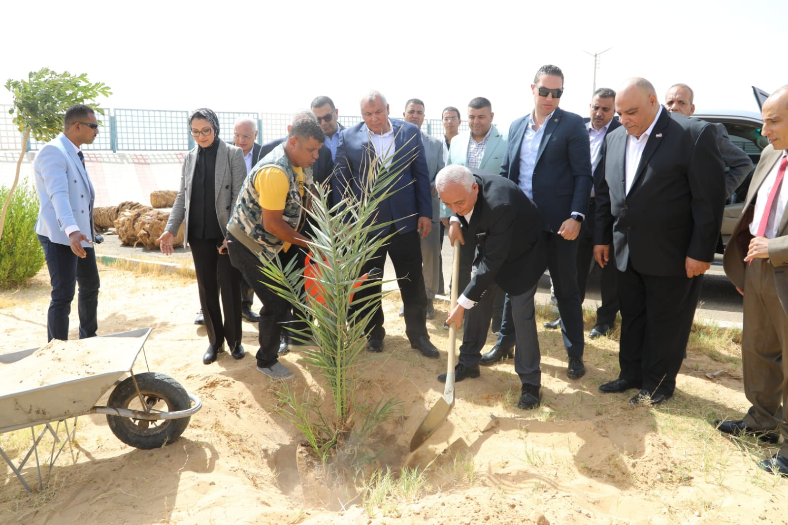 حجازي الوادي الجديد