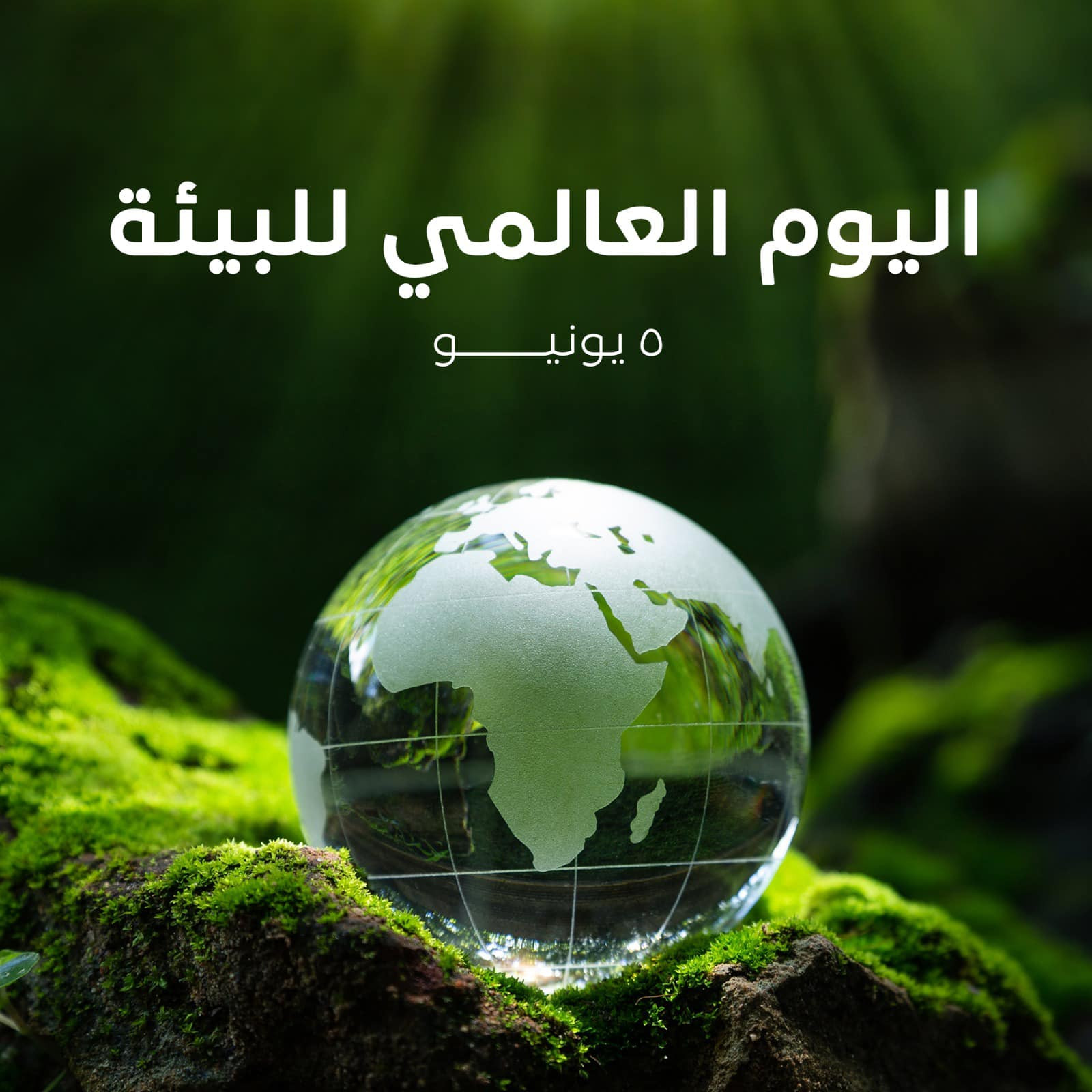 اليوم العالمي للبيئة