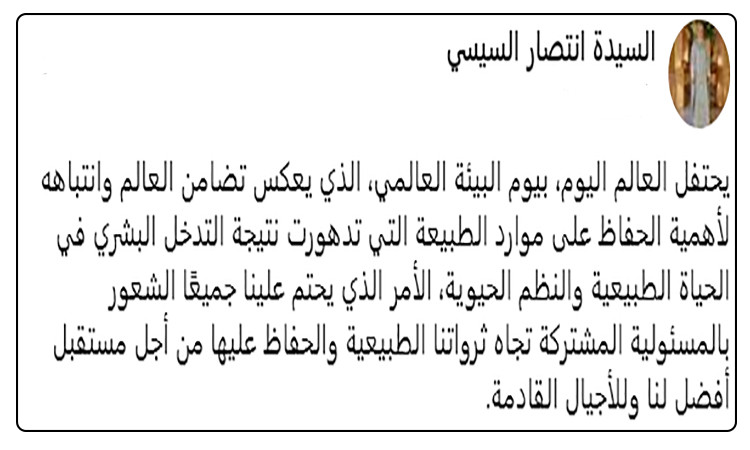 انتصار السيسي