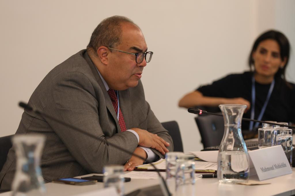 الدكتور محمود محيي الدين