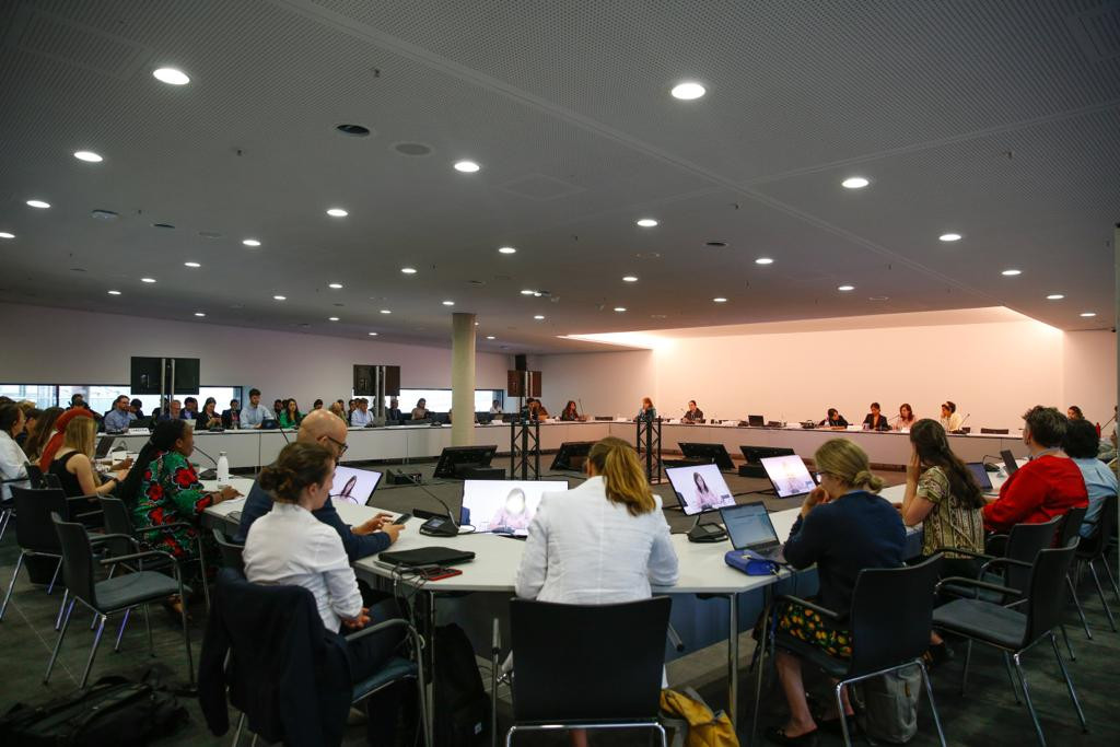 الدكتور محمود محيي الدين