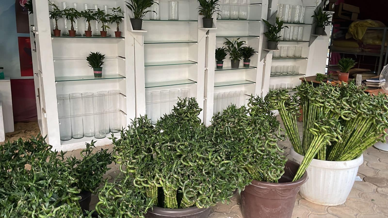 معرض زهور الربيع