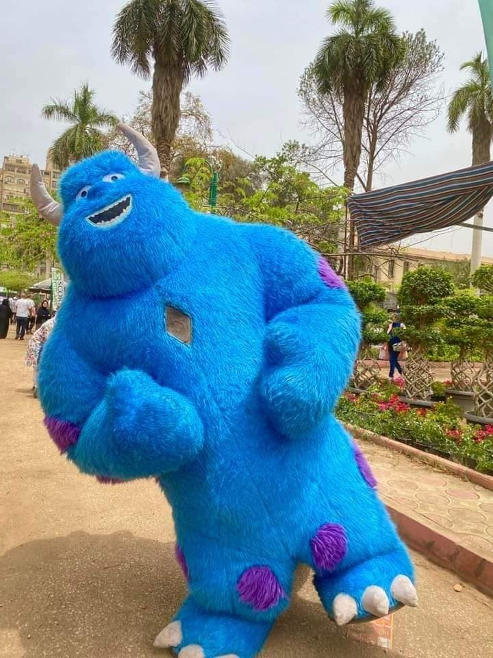 معرض زهور الربيع