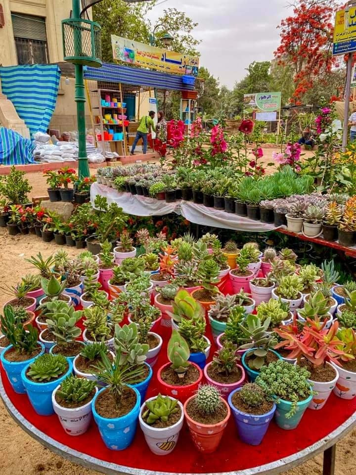 معرض زهور الربيع