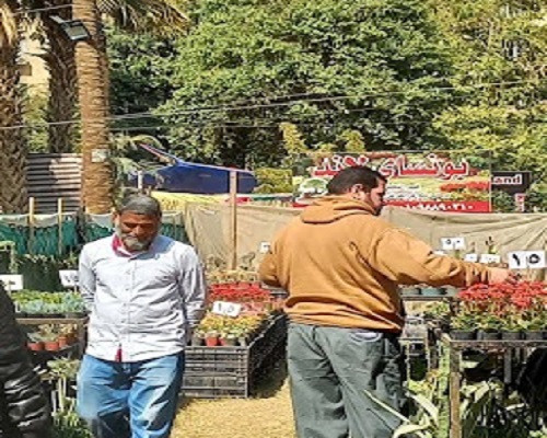 معرض زهور الربيع