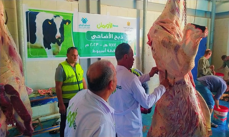 (4) الاورمان