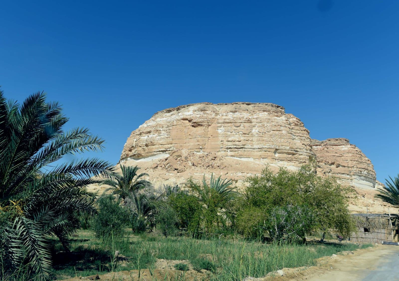 رئيس الوزراء بالواحة