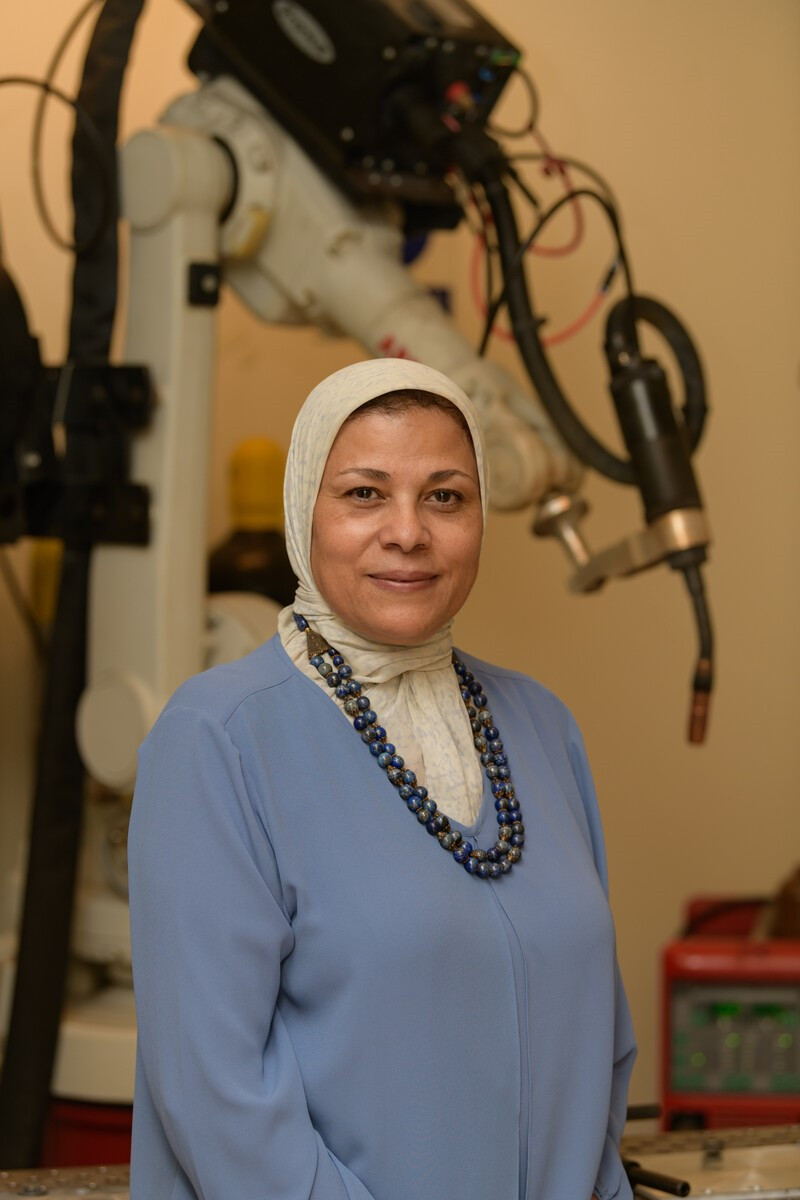 أستاذان بالجامعة الأمريكية