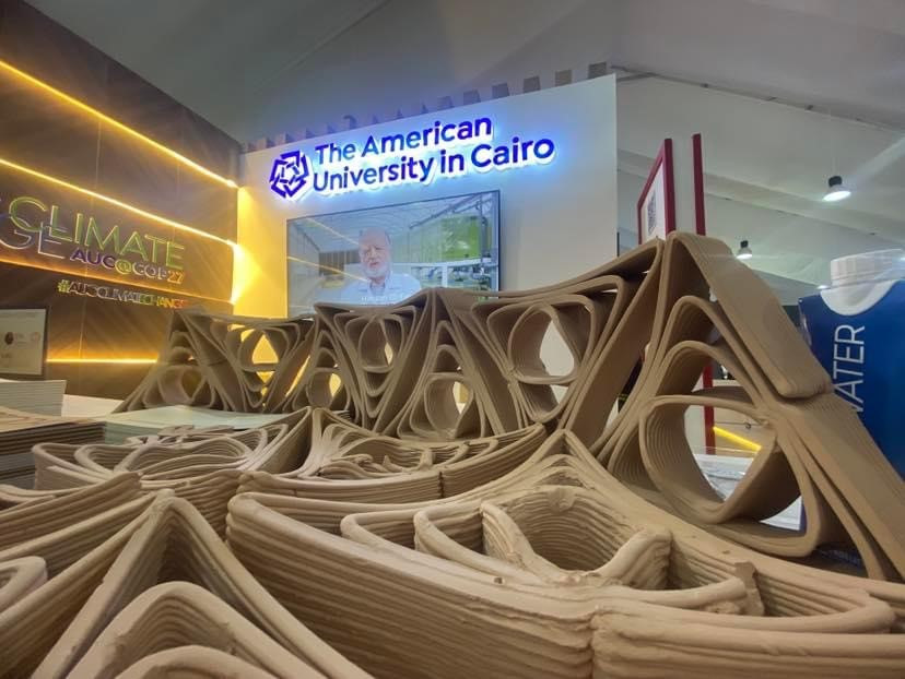 أستاذان بالجامعة الأمريكية