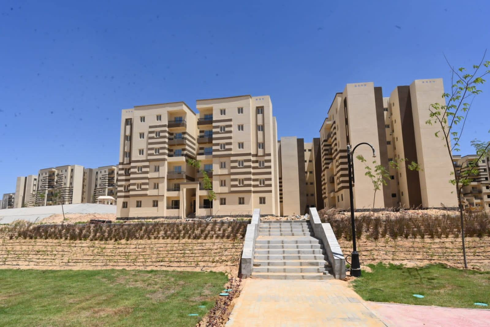 الجزار