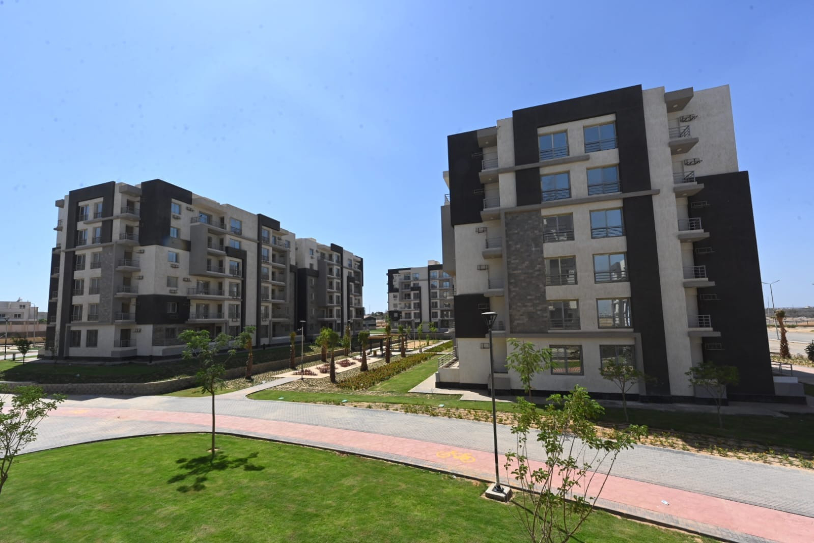 عاصم الجزار