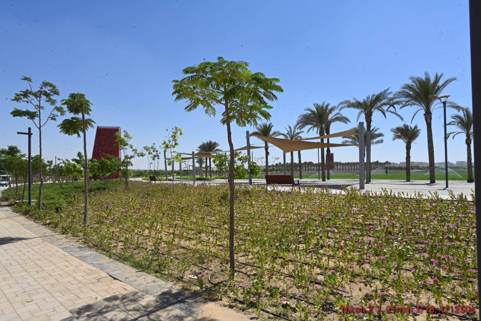 الجزار