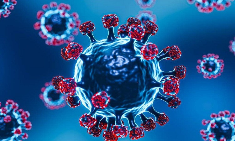 د. مجدي بدران : لا داع للقلق من متحور كورونا الجديد