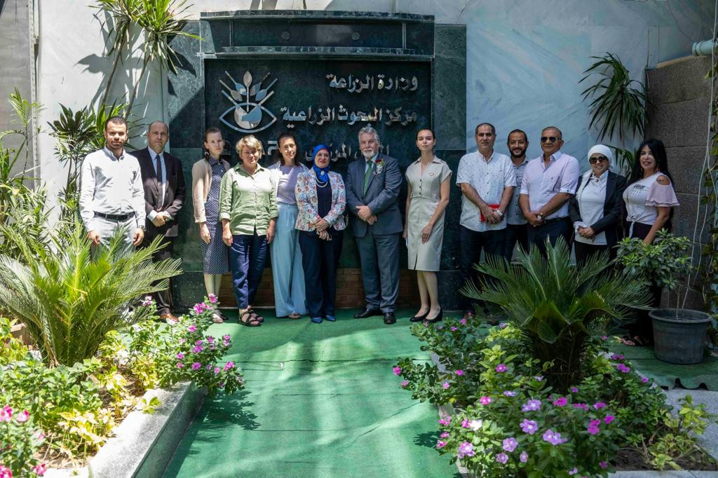 مركز البحوث