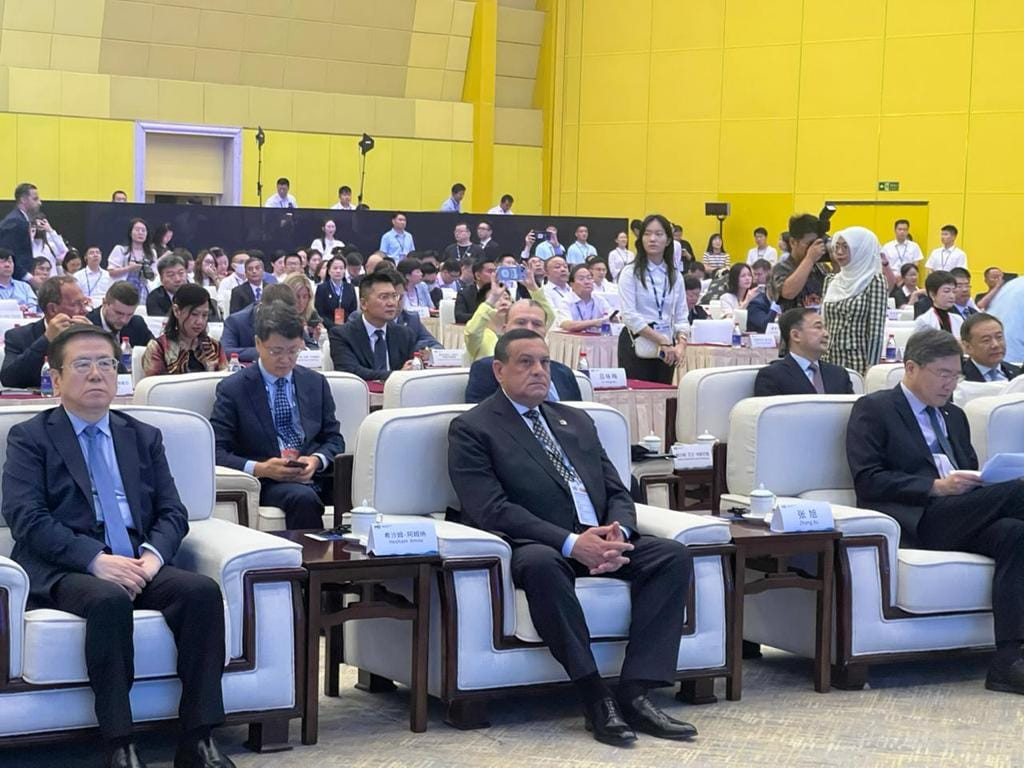 التنمية المحلية