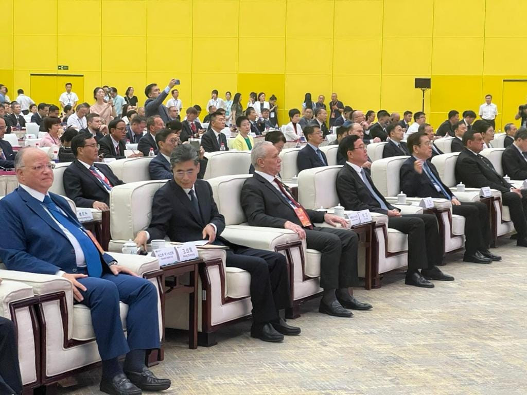 التنمية المحلية