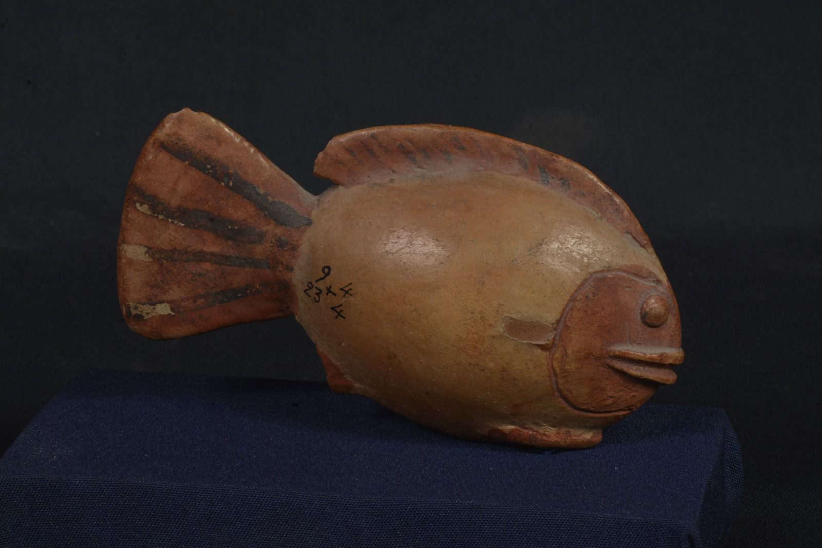 معرض مؤقت للآثار