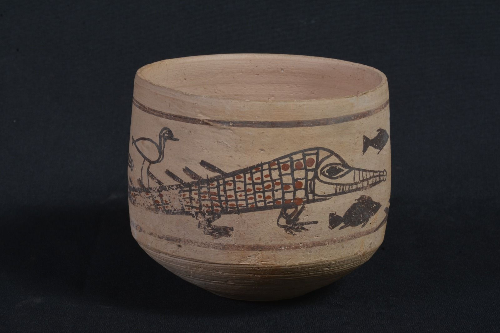 معرض مؤقت للآثار