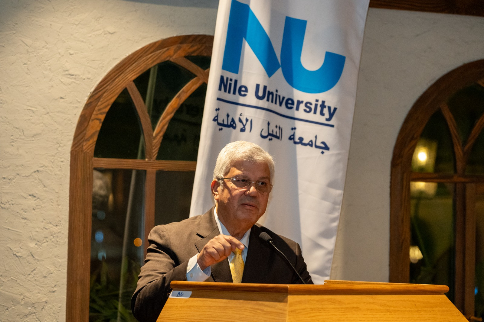 جامعة النيل