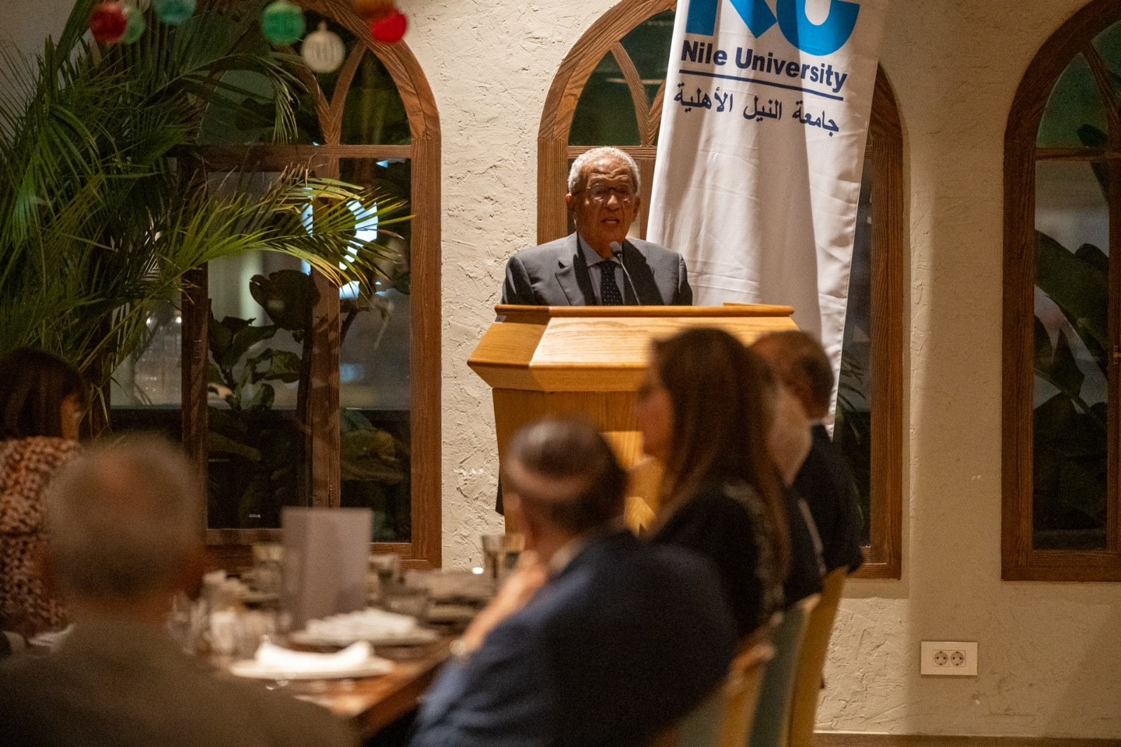 جامعة النيل