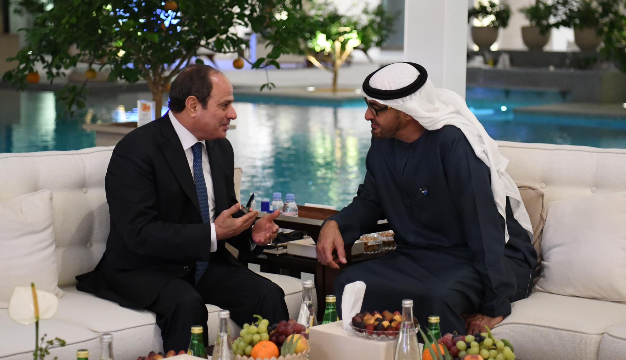 السيسي وبن زايد