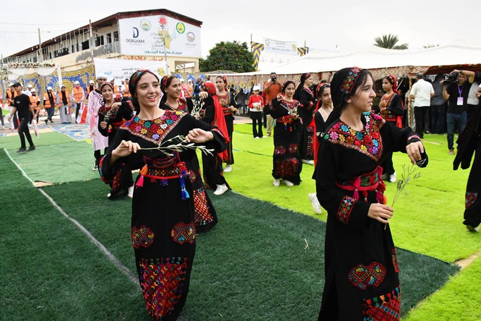 مهرجان الزيتون بالعريش