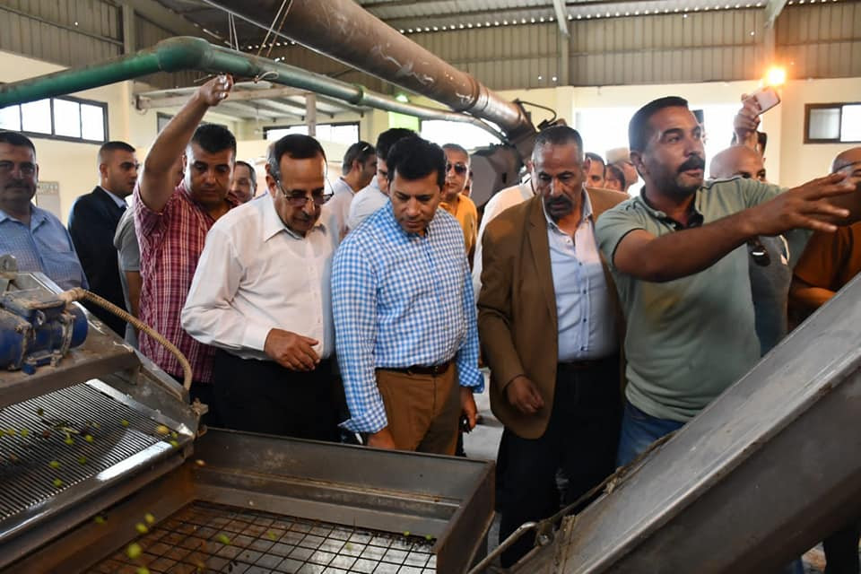 مهرجان الزيتون بالعريش