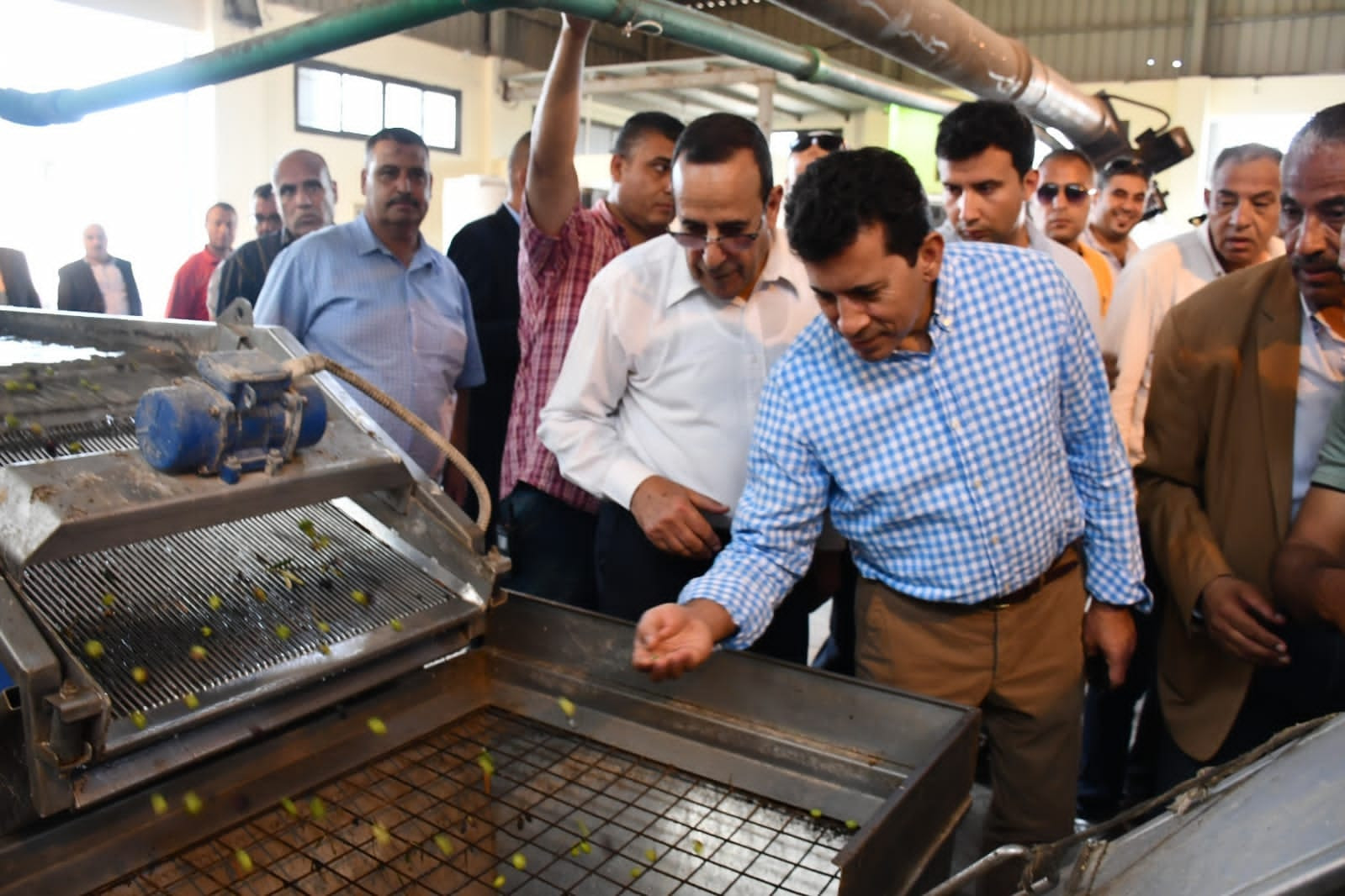 مهرجان الزيتون بالعريش