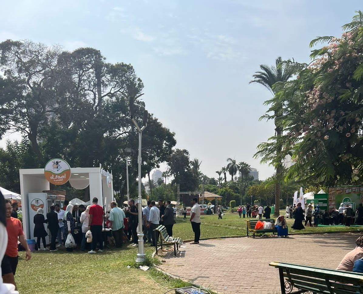 مهرجان الجبن