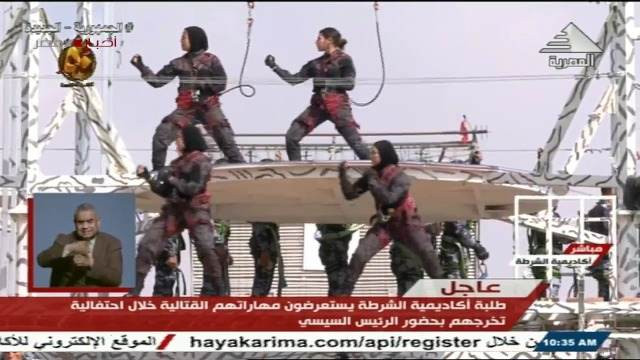 عروض قتالية