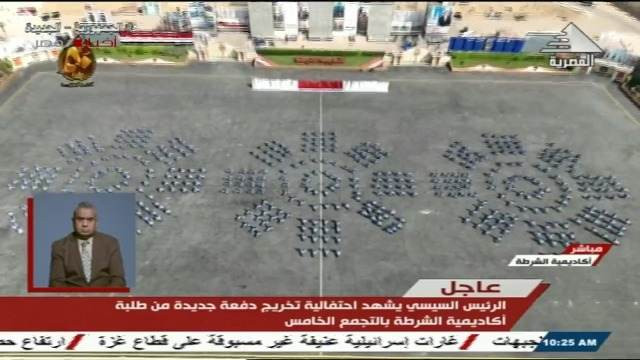 عروض قتالية