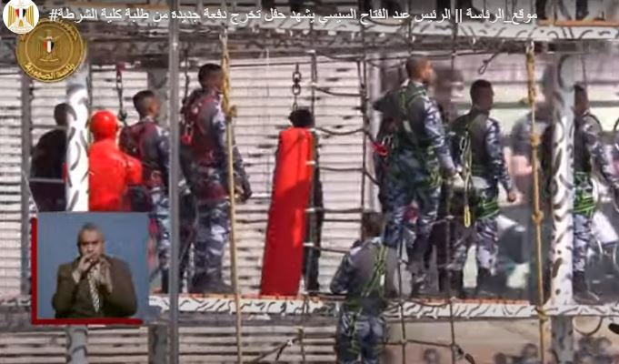 عروض قتالية