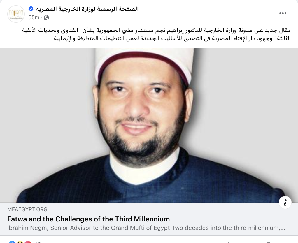 ابراهيم نجم